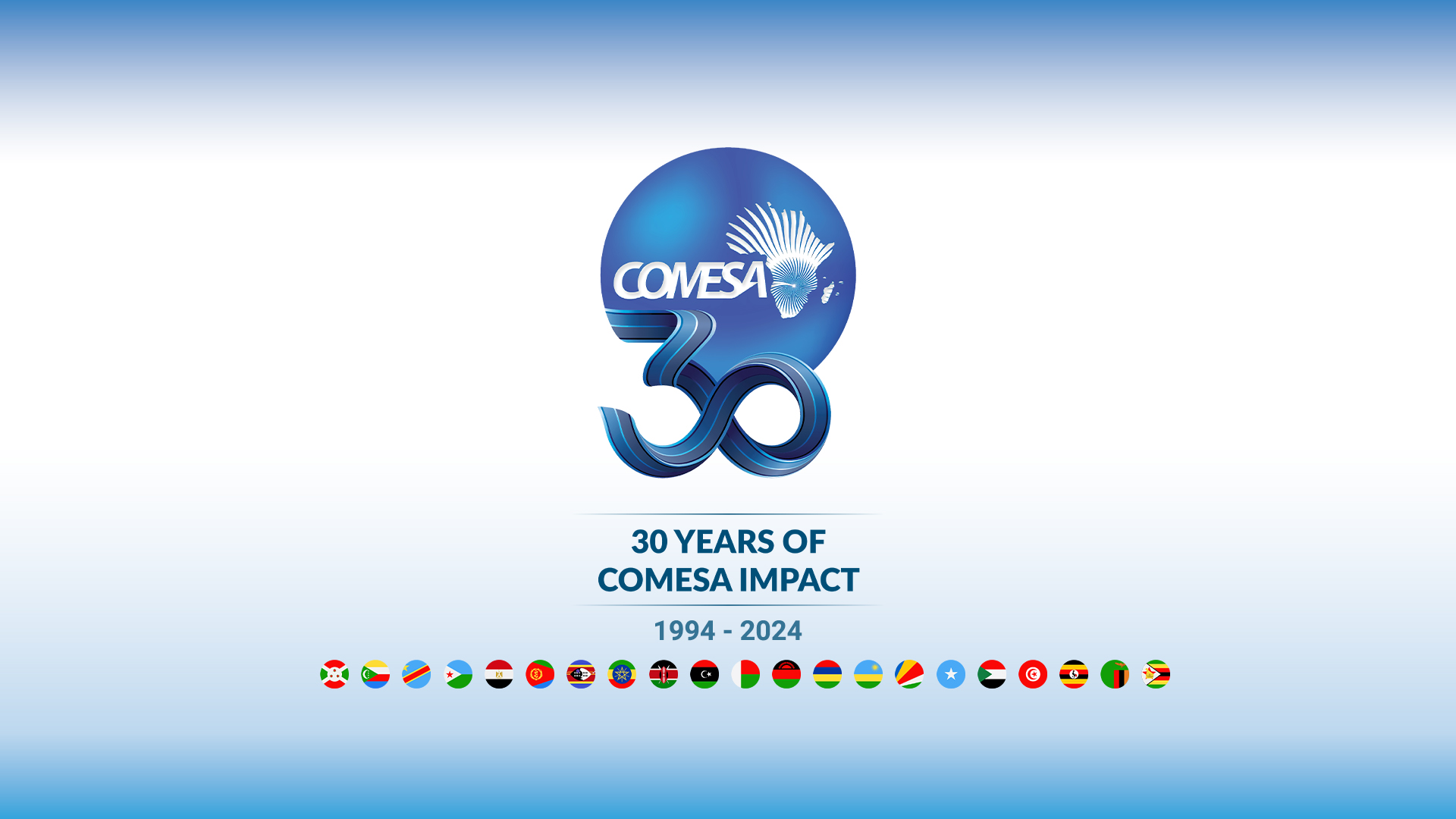 Common Market for Eastern and Southern Africa (COMESA)